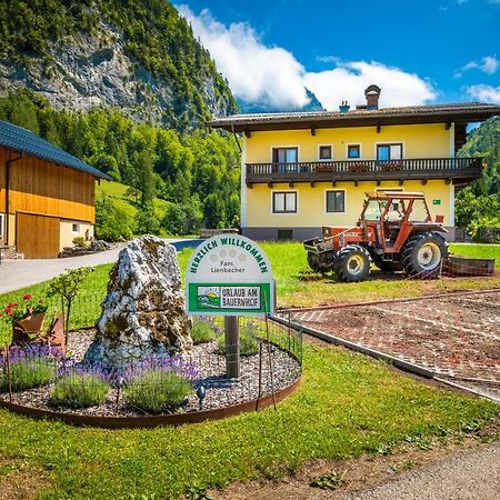 Bed and Breakfast Hinterkellaubauer à Kuchl Extérieur photo