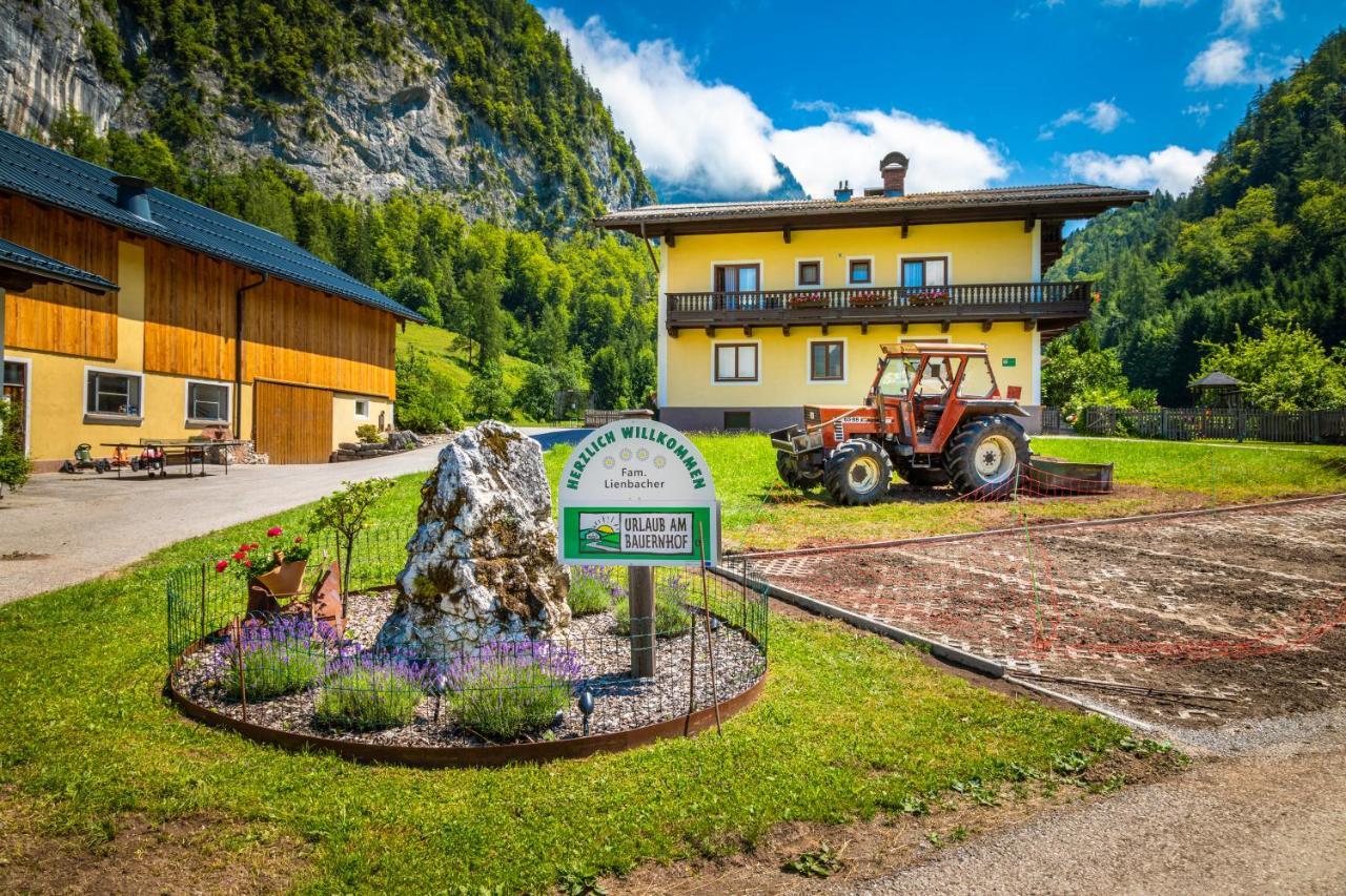 Bed and Breakfast Hinterkellaubauer à Kuchl Extérieur photo